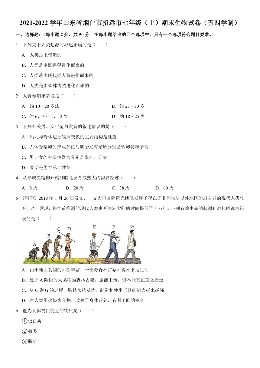 2021-2022学年山东省烟台市招远市七年级（上）期末生物试卷（五四学制）（word版含解析）