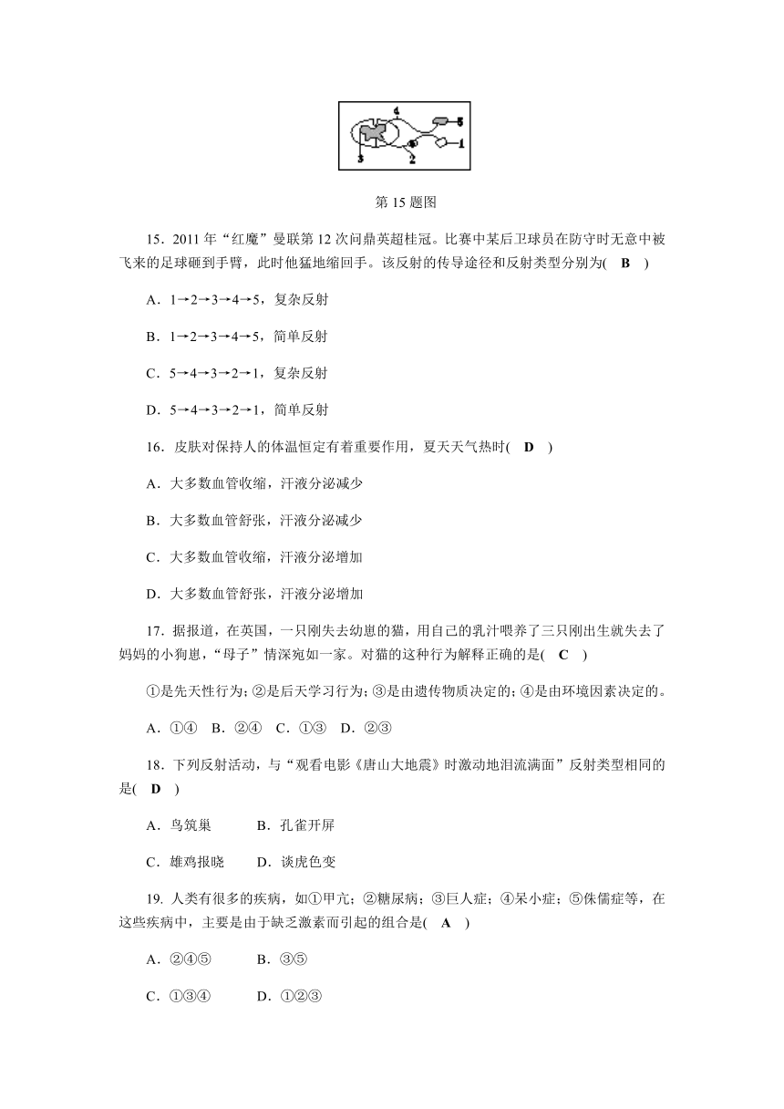 浙教版八年级上册  第3章 生命活动的调节 质量检测试卷（试题和答案没有分开）