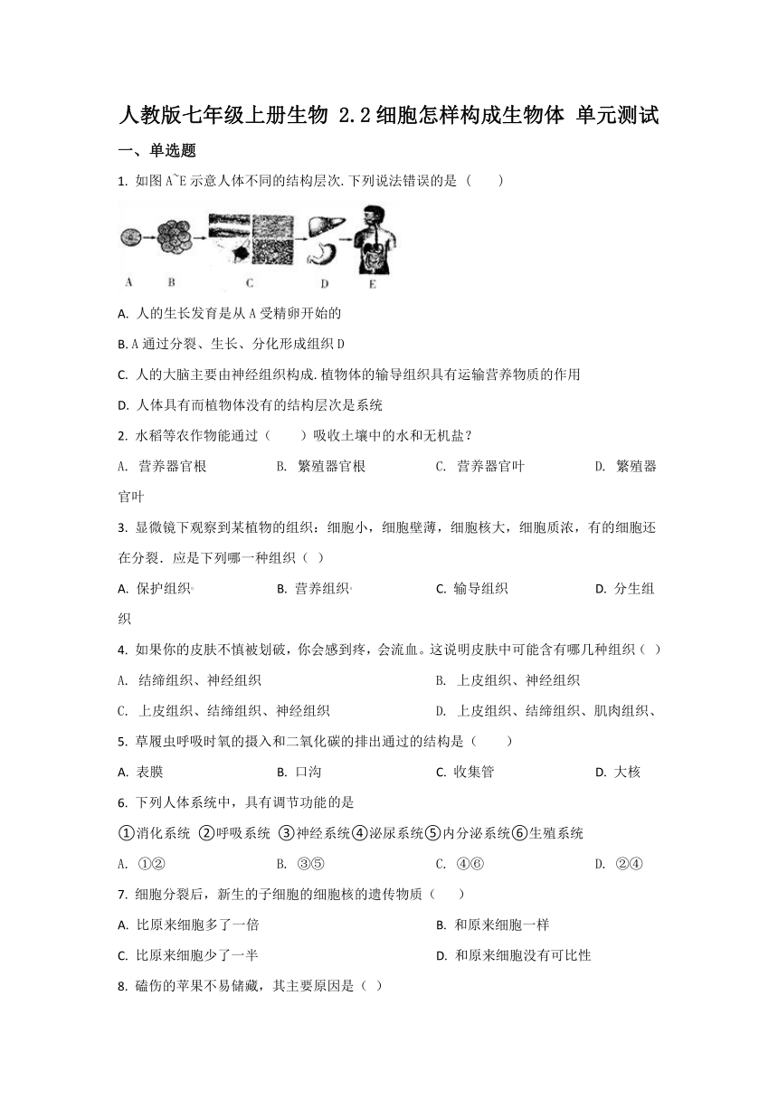 人教版七上生物第2单元第2章细胞怎样构成生物体单元试卷（含解析）