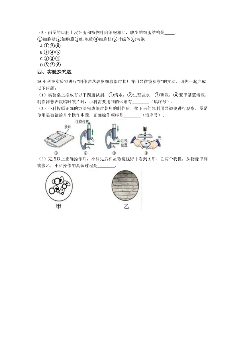 2.2 细胞 同步练习（含解析）