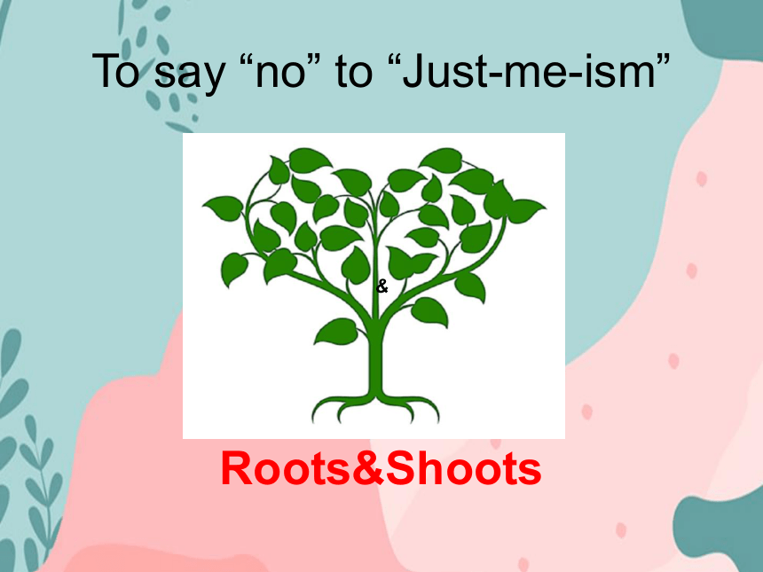 北师大版（2019）  必修第三册  Unit 8 Green Living  Lesson 1 Roots and Shoots Lesson1课件（26张）