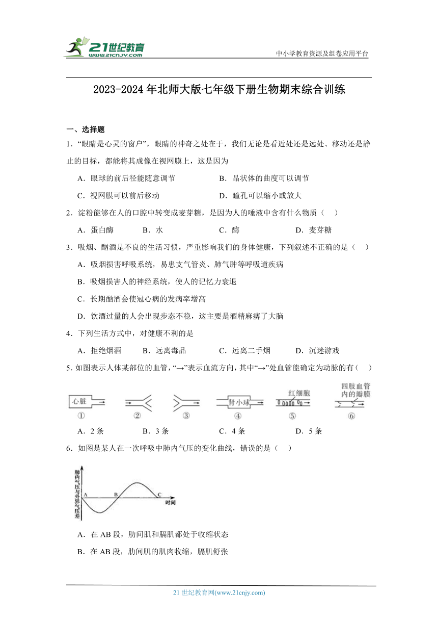 2023-2024年 北师大版 七年级下册生物期末综合训练（含解析）