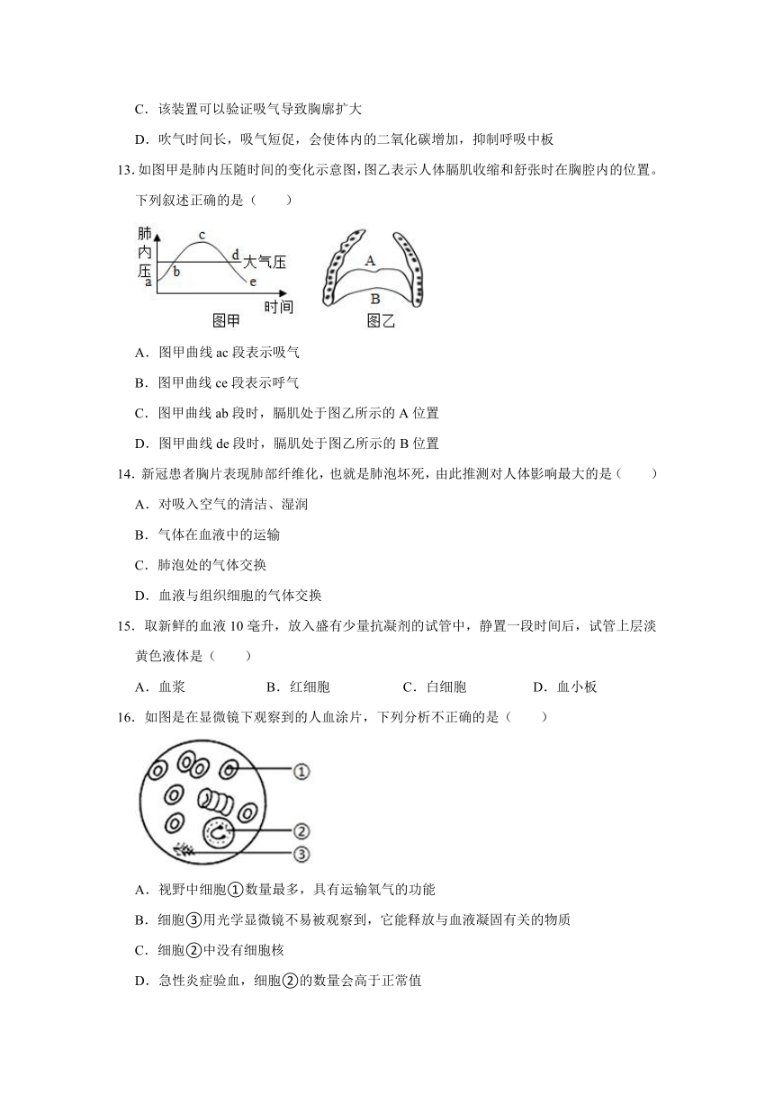 河北省武安市2020-2021学年七年级下学期期末考试生物试卷（word 解析版）