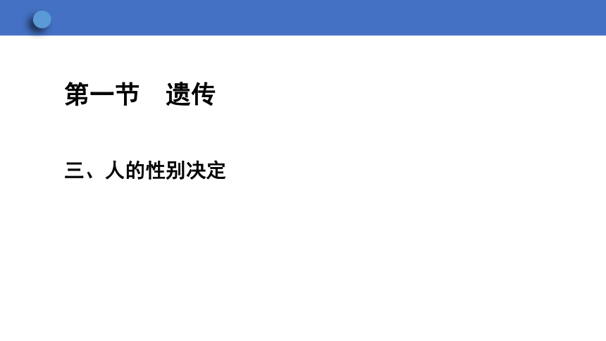 6.2.1 遗传 第3课时课件(共23张PPT)2023-2024学年初中生物冀少版八年级下册