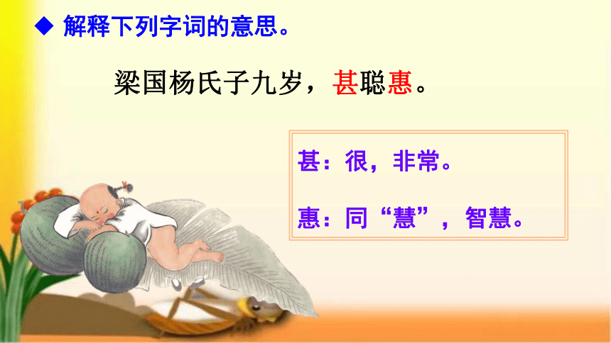 21《杨氏之子》课件(共39张PPT)