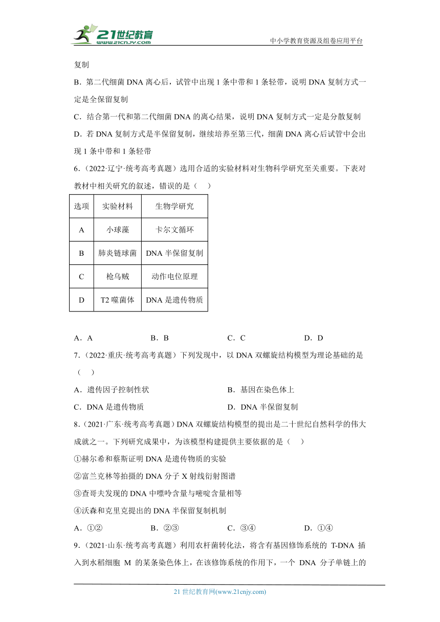 五年2018-2022高考生物真题按知识点分类汇编39-DNA分子的结构和复制（含解析）