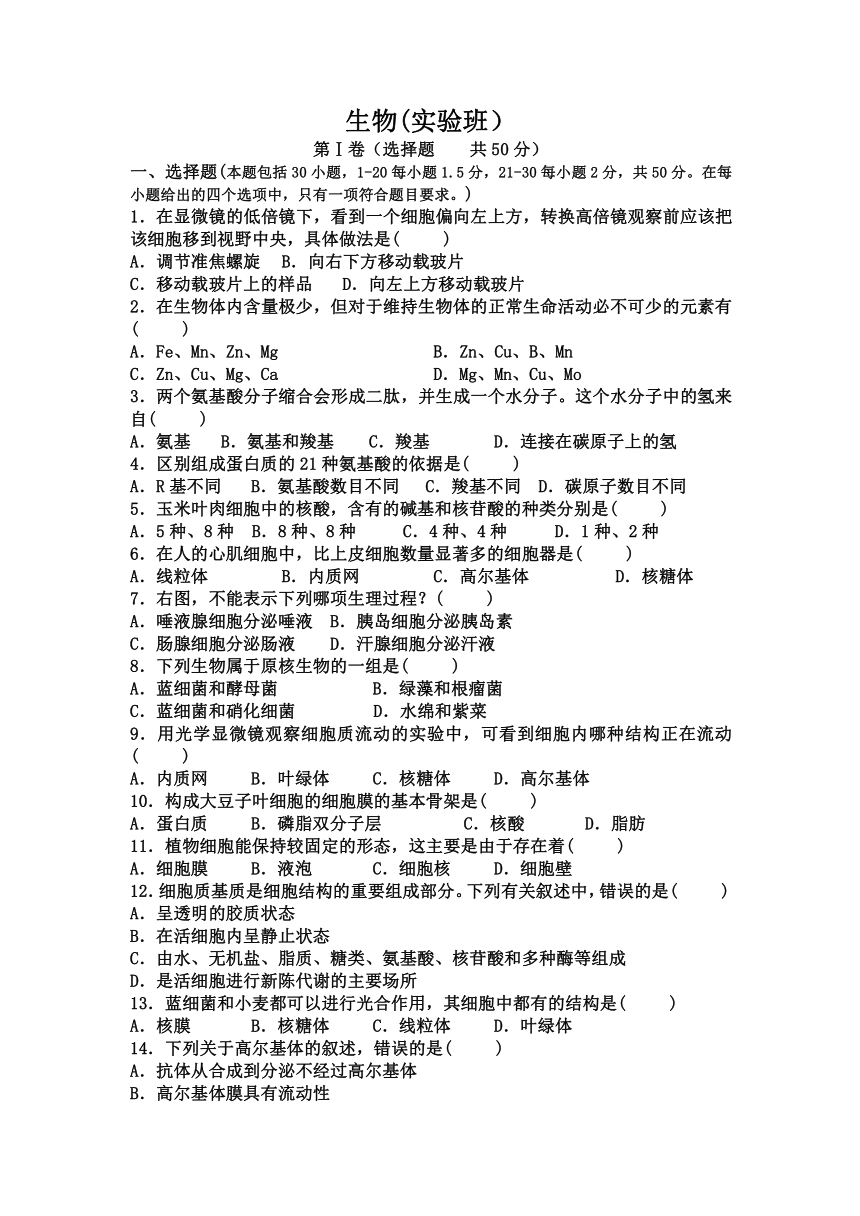 甘肃省民勤县第四中学2021-2022学年高一上学期期中考试（实验班）生物试卷（word版含答案）