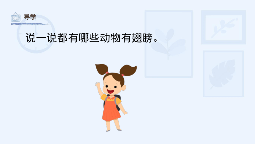 15《会飞的翅膀》教学课件(共24张PPT)