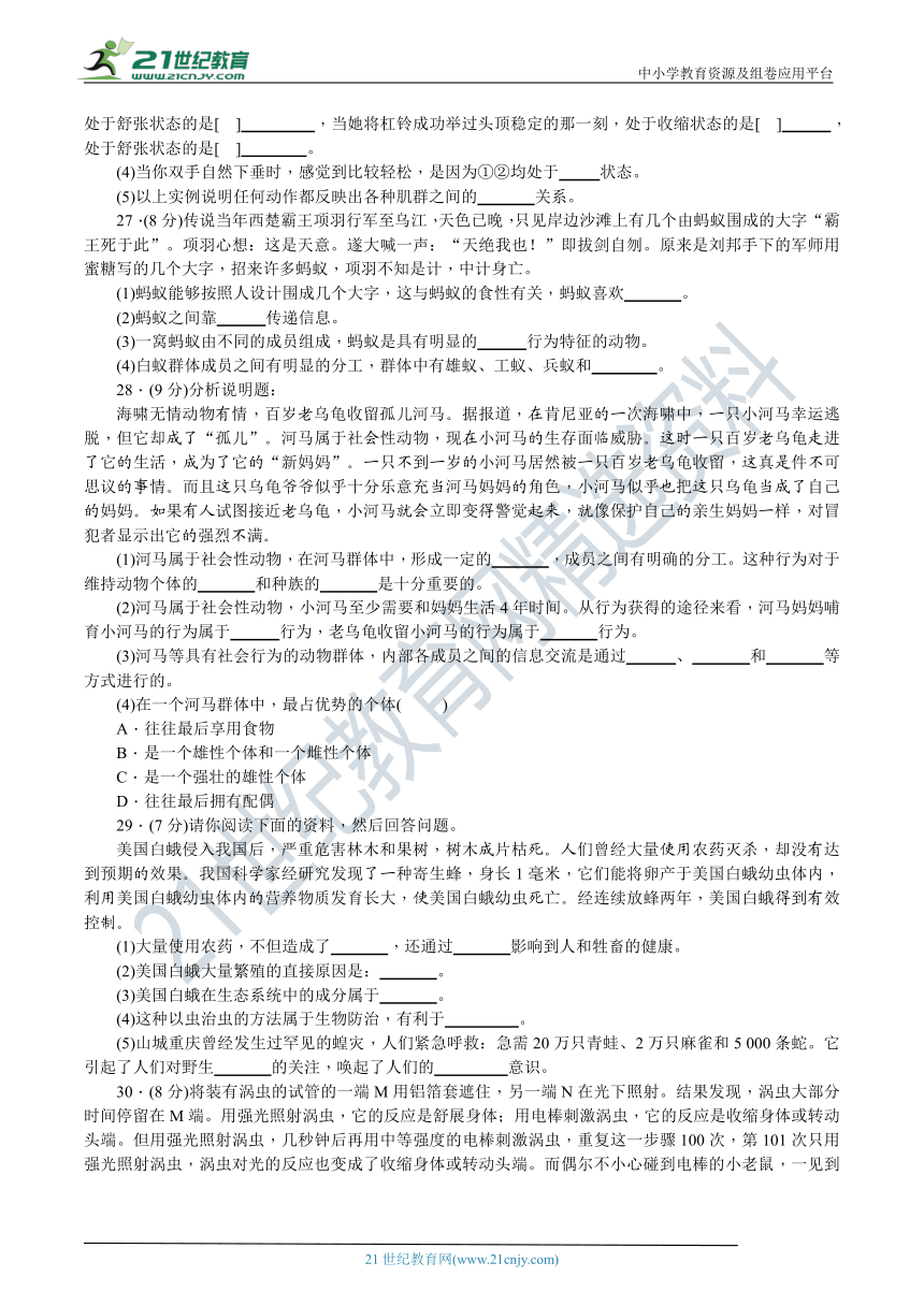 人教版八年级生物上册 第二、三章元达标测试卷（含答案）