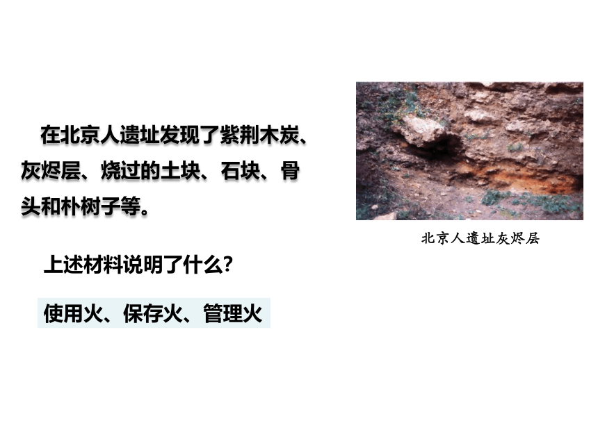 人教部编版七年级上册第1课中国境内早期人类的代表—北京人  课件（共20张PPT）