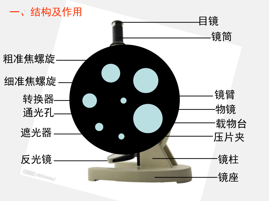 2.1.1练习使用显微镜 课件(共17张PPT)2022--2023学年人教版七年级生物上册