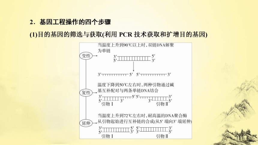 新人教生物二轮复习课件16 基因工程(课件共42张PPT)