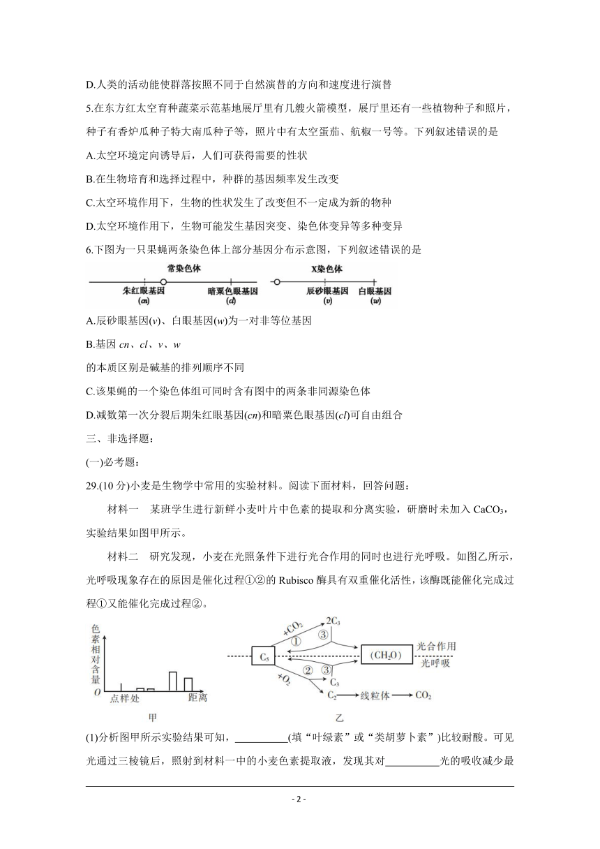 安徽省名校联盟2021届高三上学期模拟调研卷（五） 生物 Word版含答案