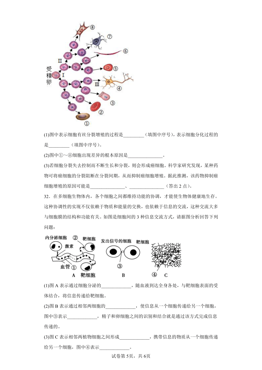 2023年湖南省宁乡市高一下学期5月学业水平模拟考试生物试题（含解析）