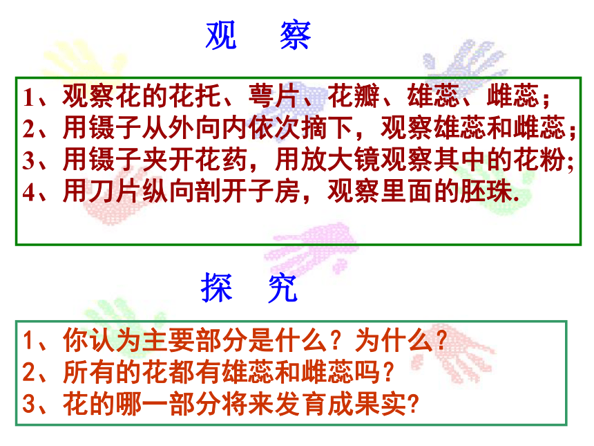 人教版生物七年级上册  3.2.3  开花和结果  课件(共36张PPT)