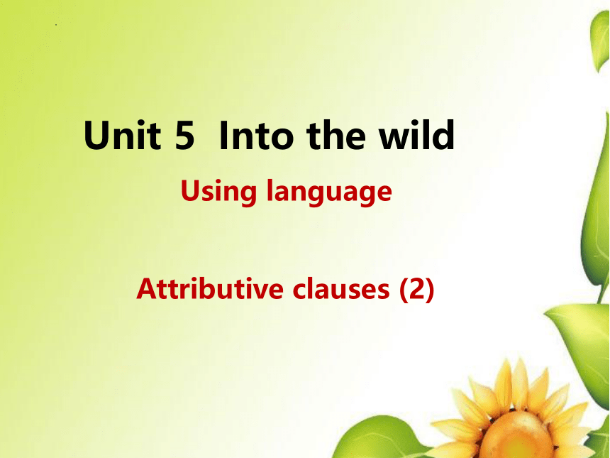 外研版（2019）必修第一册Unit 5 Into the wild Using language Attributive clauses (2) 课件（26张PPT）