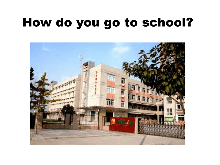 Module 7 Unit 1 How do you go to school?  课件(共25张PPT)