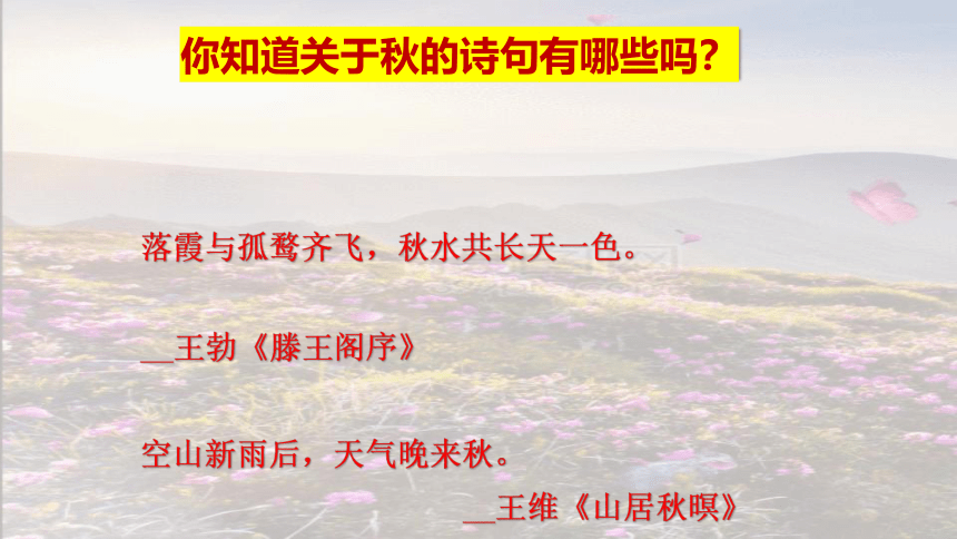 第三单元  金色的秋天——　《秋》 《丰收锣鼓》课件  2022—2023学年人教版初中音乐七年级上册(共25张PPT内嵌音视频)