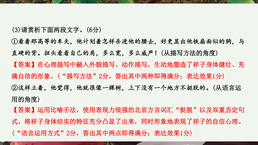 （安徽省）语文中考专题一  名著阅读 课件（91张PPT）