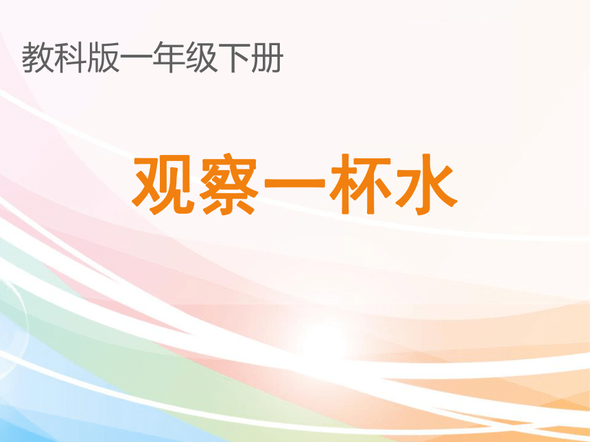 教科版（2017秋）一年级下册科学课件-1.5 观察一瓶水（课件 15张ppt）