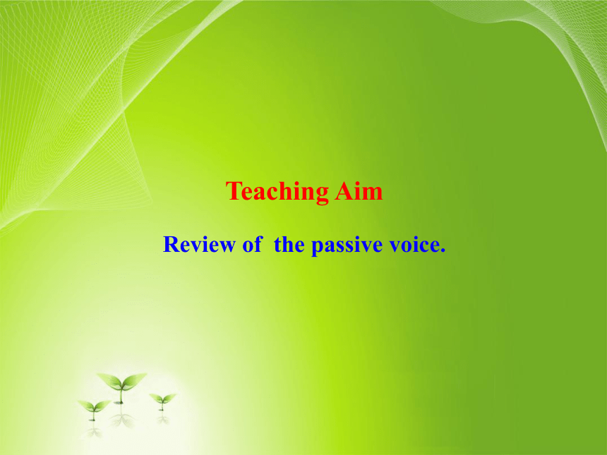 外研版必修5 Module 4 Carnival Grammar The Passive Voice revision 教学课件(共23张PPT)