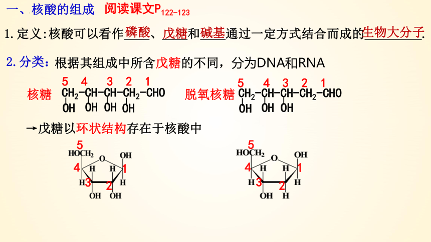 4.3 核酸-(共43张PPT)高二化学课件（人教版2019选择性必修3）