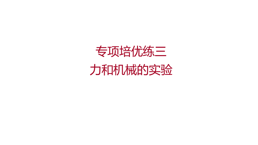 2022 物理 八年级下册专项培优练三　力和机械的实验 习题课件(共15张PPT)