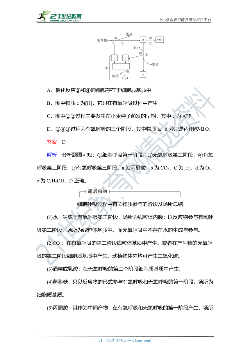 【备考2022一轮学案】第3单元　第9讲　ATP的主要来源——细胞呼吸（含解析）