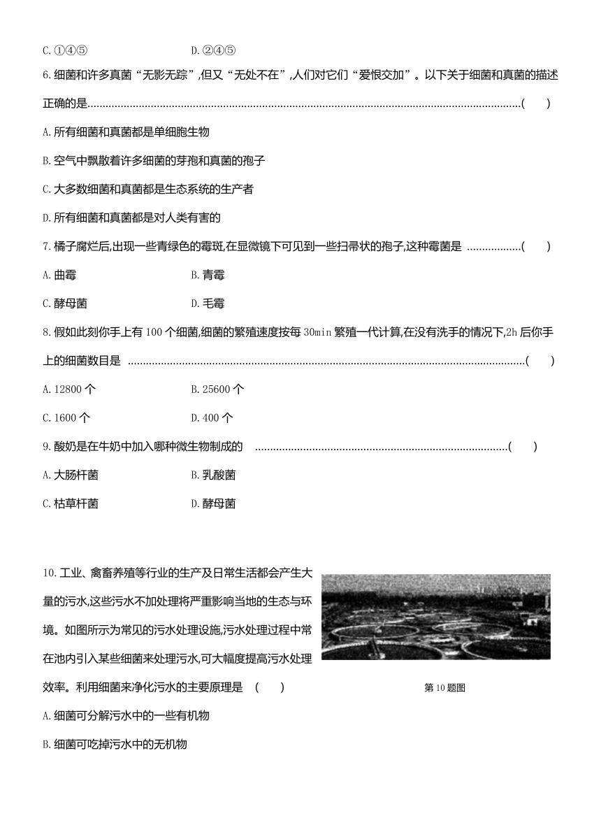 7.4细菌和真菌的繁殖 同步练习（word版，含答案）