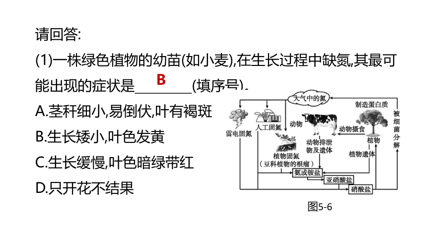 2022年浙江省中考科学一轮复习 第05课时　绿色植物的水和无机盐代谢（课件 34张PPT）