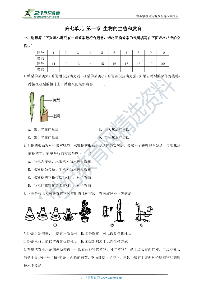 人教版八年级下册生物第七单元第一章  生物的生殖和发育 综合训练题（word版 含答案）