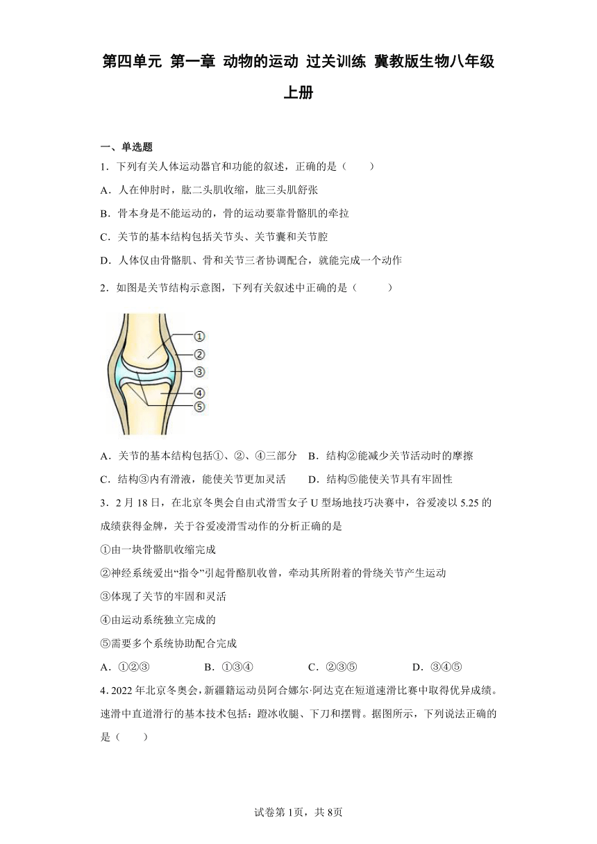 冀教版生物八年级上册 第四单元 第一章 动物的运动 过关训练 （word版 含答案）