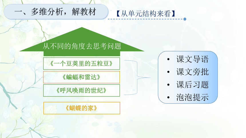 5 一个豆荚里的五粒豆 说课课件（24张PPT）