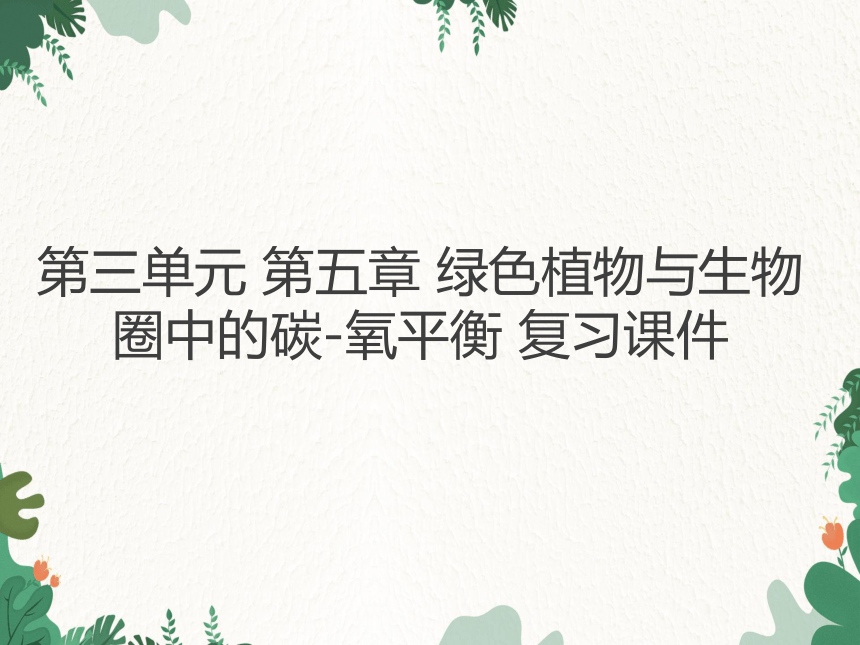 人教版生物七年级上册 第三单元 第五章绿色植物与生物圈中的碳-氧平衡复习课件(共22张PPT)