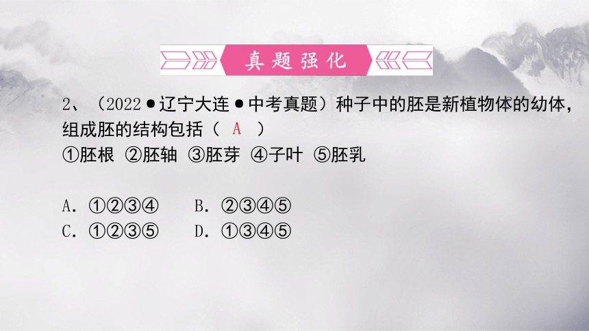 第三单元 第二章 被子植物的一生-【复习旧知】2022-2023学年七年级生物上册复习课件（人教版）(共50张PPT)