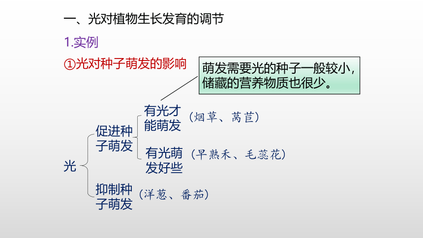 2021—2022学年高中生物人教版（2019）选择性必修一5.4 环境参与调节植物的生命活动课件（29张ppt）