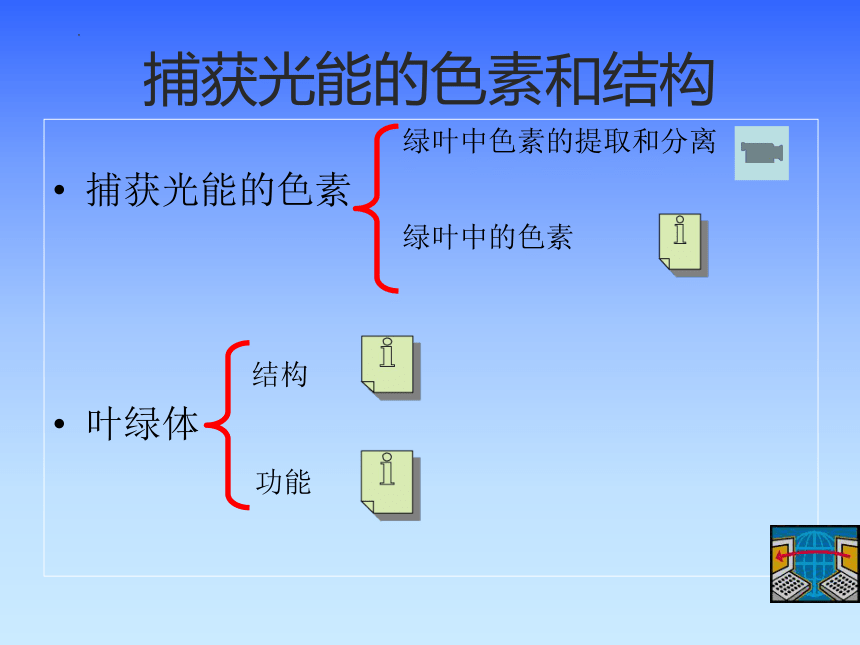 5.4光合作用与能量转化课件（48张ppt）-2022-2023学年高一上学期生物人教版（2019）必修1