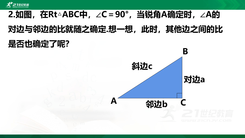 1.1.2 锐角三角函数（第2课时）  课件（共21张PPT）