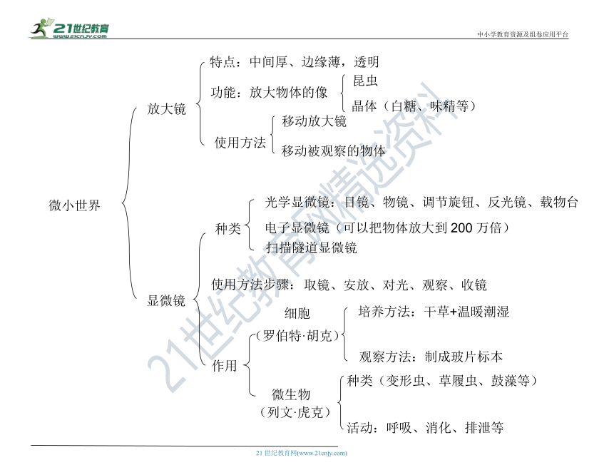 教科版（2001）六下科学期末概念图