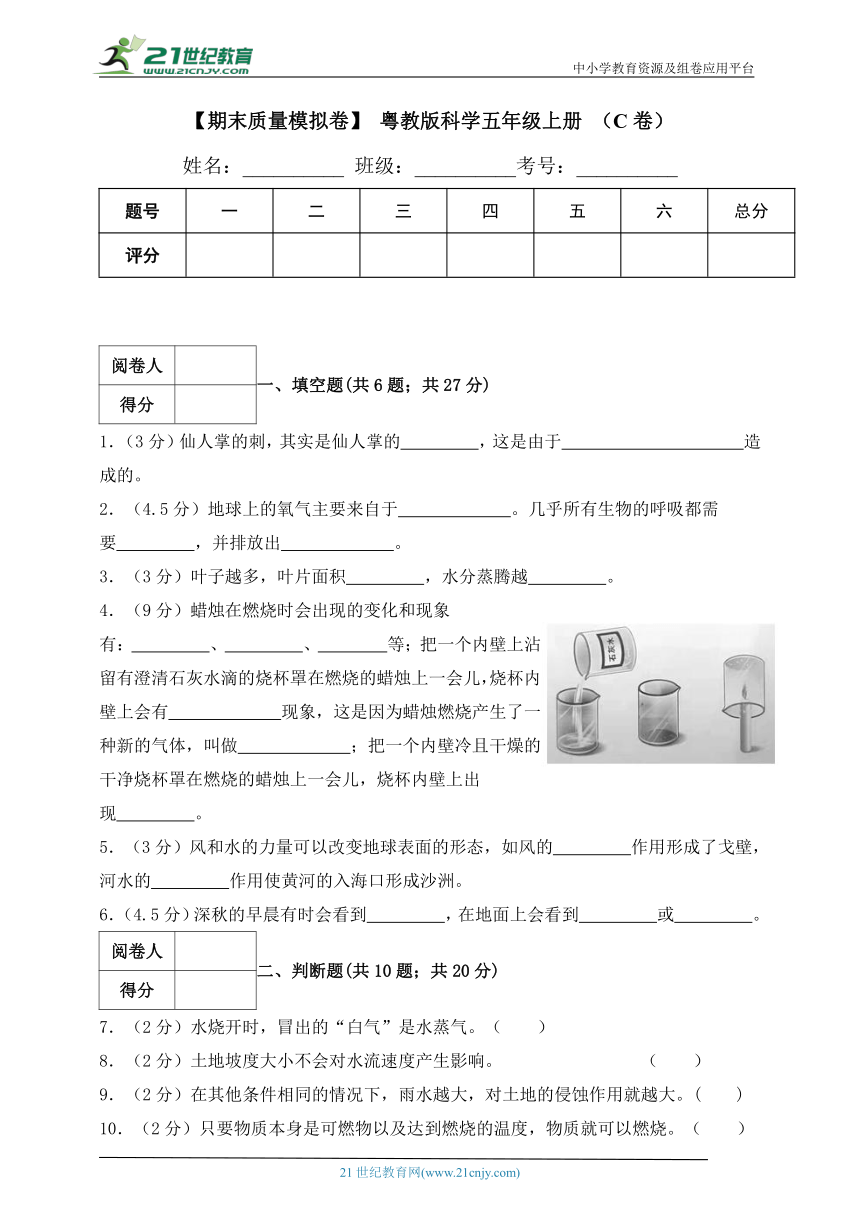 【期末质量模拟卷】 粤教版科学五年级上册 （C卷）（含答案解析）