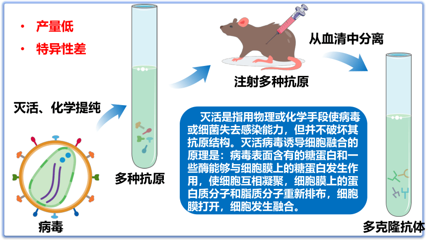 2.2.2动物细胞工程（第2课时）(共23张PPT1份视频)课件-人教版2019选择性必修3