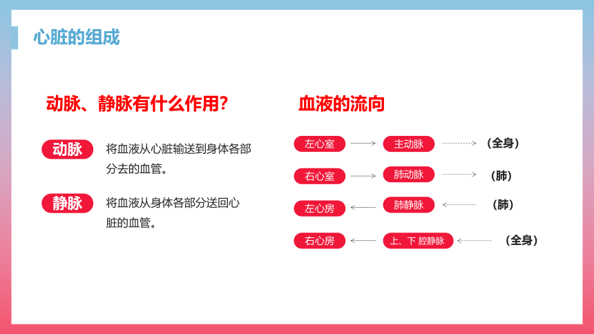 第三节 输送血液的泵──心脏 课件（23张PPT）