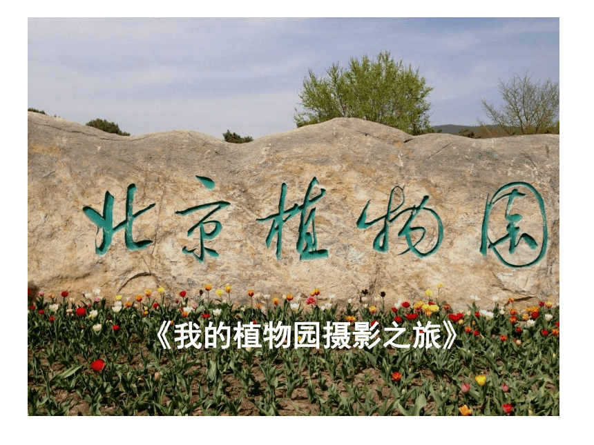 人美版（北京） 五年级下册美术课件 第5课  摄影-美丽之花（27张PPT）