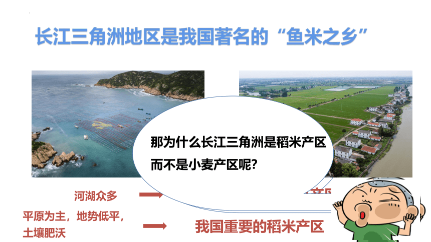 7.2 鱼米之乡——长江三角洲地区 课件-2022-2023学年八年级地理下学期人教版(共29张PPT)