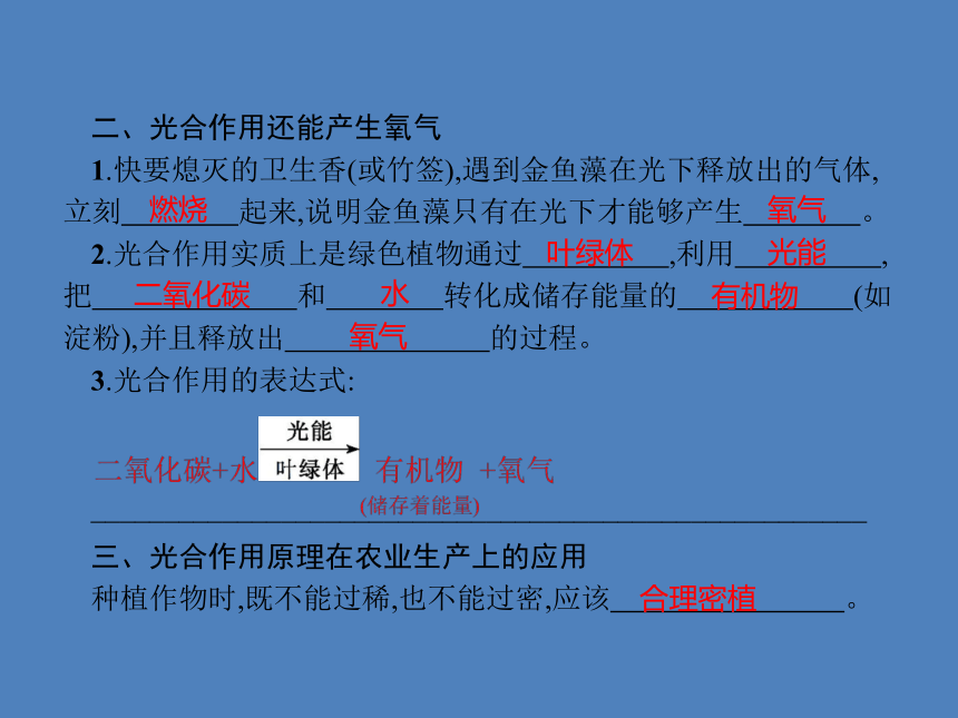 七年级上册生物 第3单元第5章　第1节　光合作用吸收二氧化碳释放氧气 习题课件(共13张PPT)