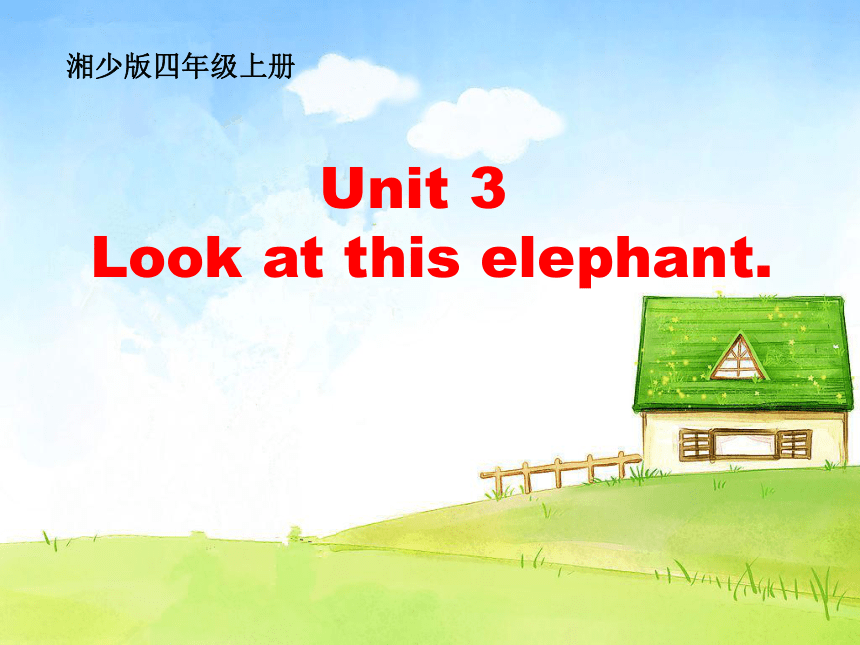 Unit 3 Look at the elephant. 课件(共15张PPT)