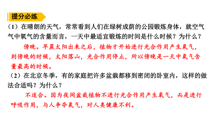 3.4  植物的光合作用、呼吸作用与植物在生物圈中的作用复习课件(共59张PPT)