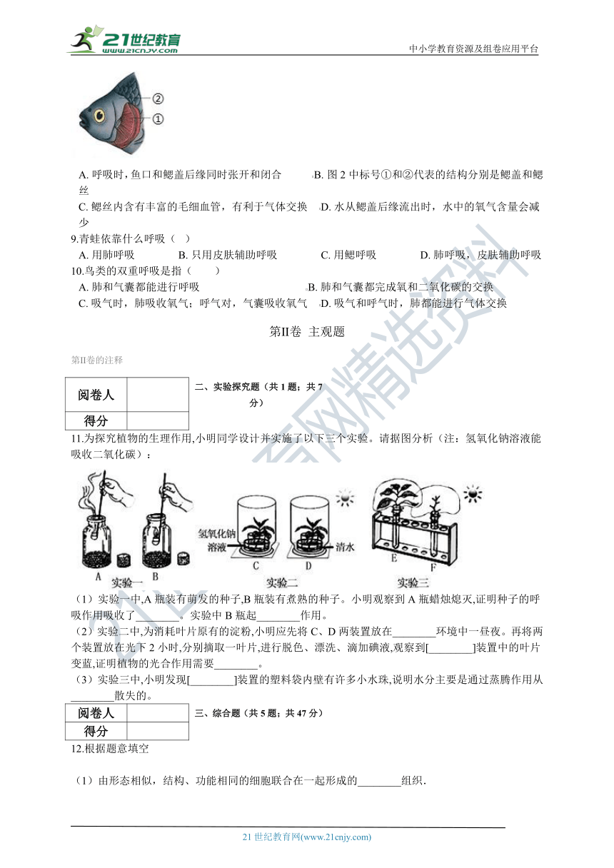 北京版2021初中生物七年级下册6.3其他生物的呼吸（含解析）