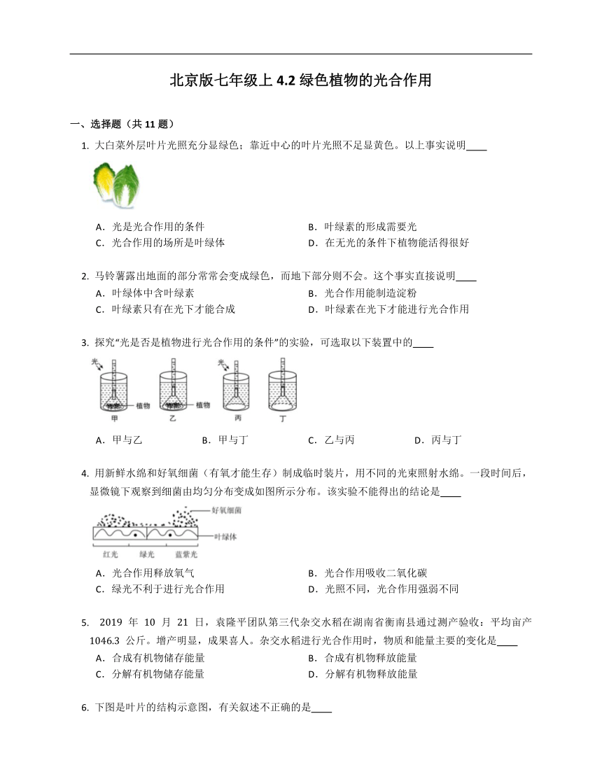 北京版七年级上4.2绿色植物的光合作用练习（含答案）