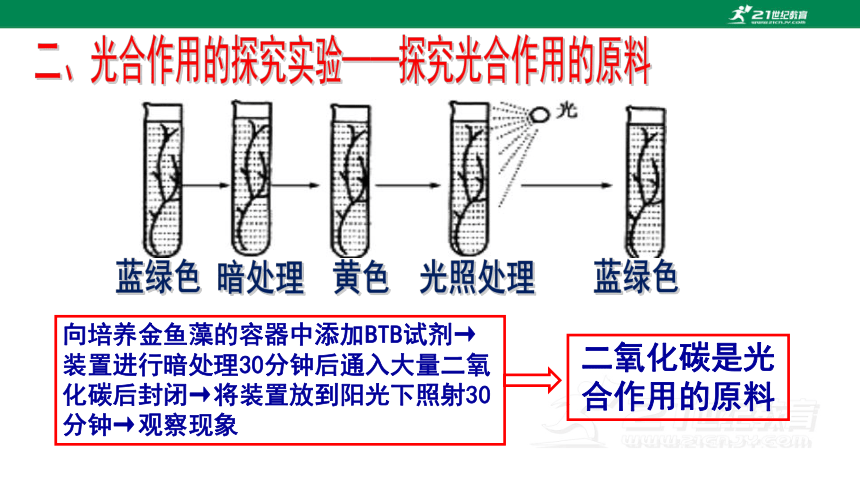 人教版七年级生物上册3.5.1 光合作用吸收二氧化碳释放氧气同步课件(共16张PPT)